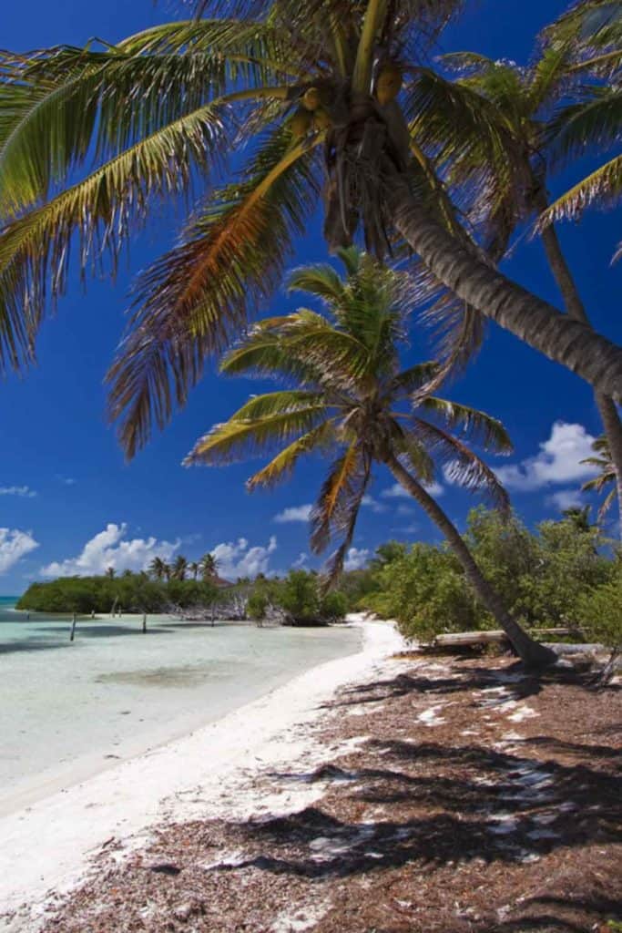 Islands In Mexico Isla Contoy