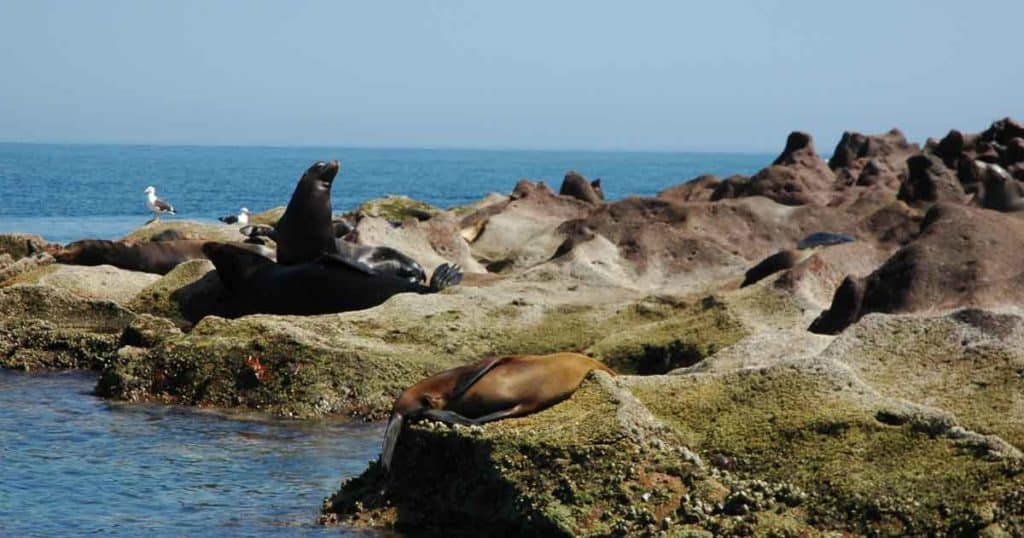 Los islotes beside isla partida