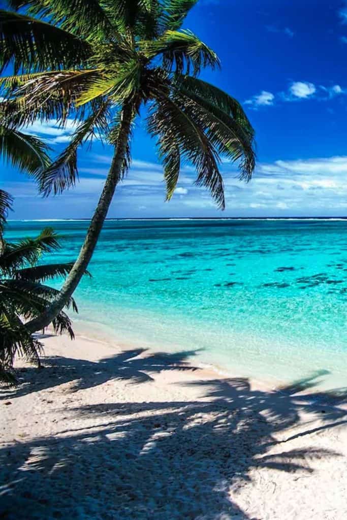 Tropical Paradise Cook Islands Beach