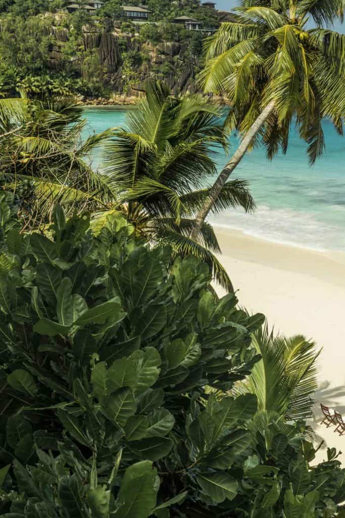 Tropical Paradise Seychelles Island
