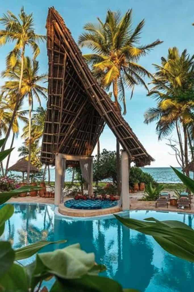 Tropical Paradise Zanzibar Tanzania