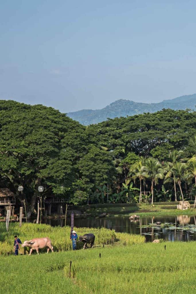 Four Seasons Thailand Four Seasons Chiang Mai Exterior