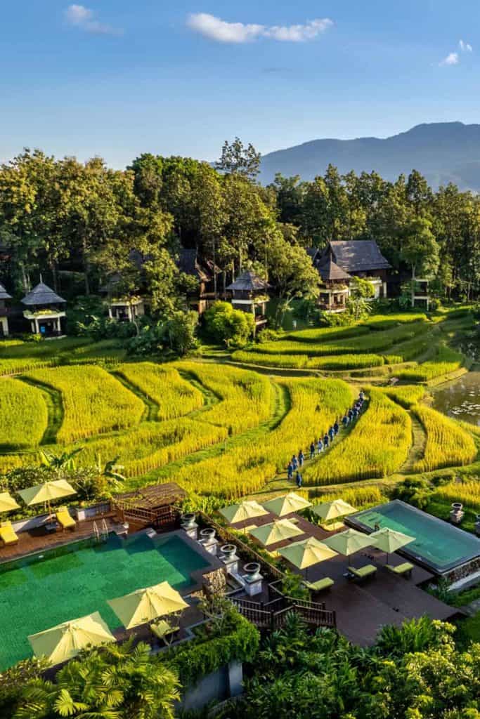 Four Seasons Thailand Four Seasons Chiang Mai Outdoor Pools