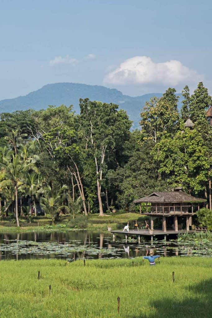 Four Seasons Thailand Four Seasons Chiang Mai Outdoors