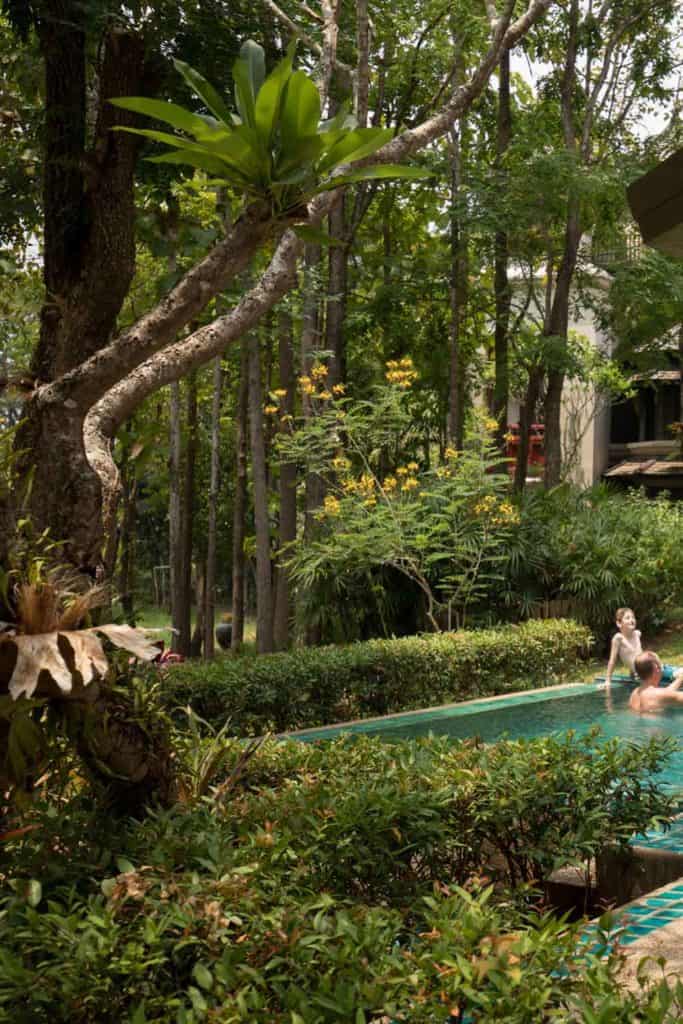 Four Seasons Thailand Four Seasons Chiang Mai Pool Villa