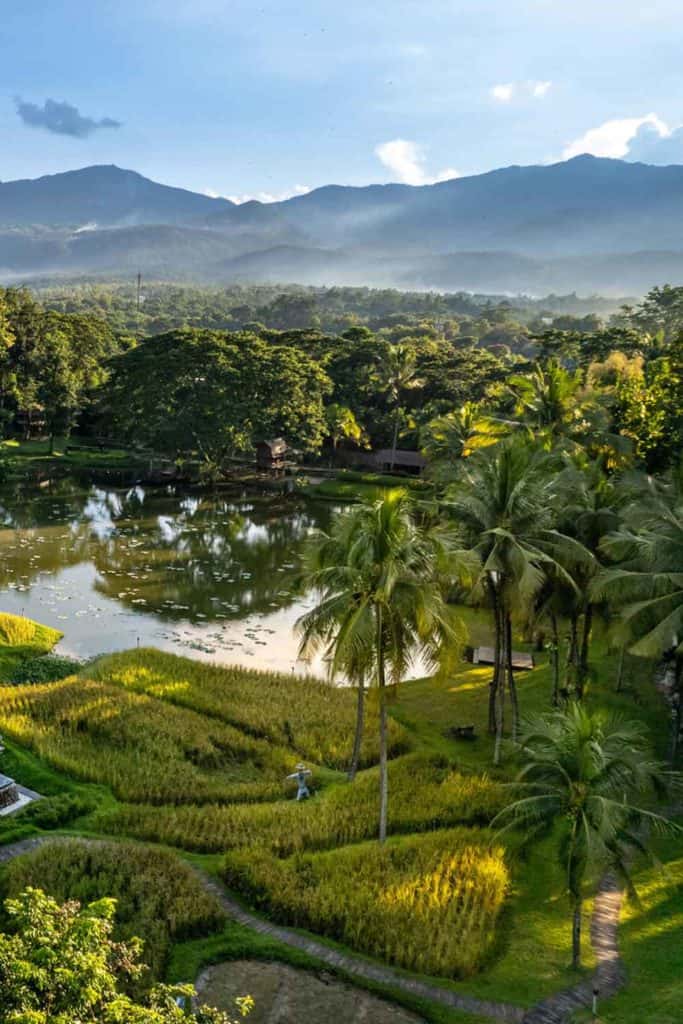 Four Seasons Thailand Four Seasons Chiang Mai Rice Farm