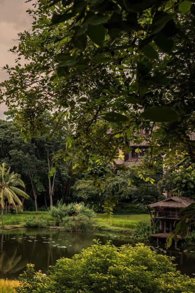 Four Seasons Thailand Four Seasons Chiang Mai Upper Rice Terrace View