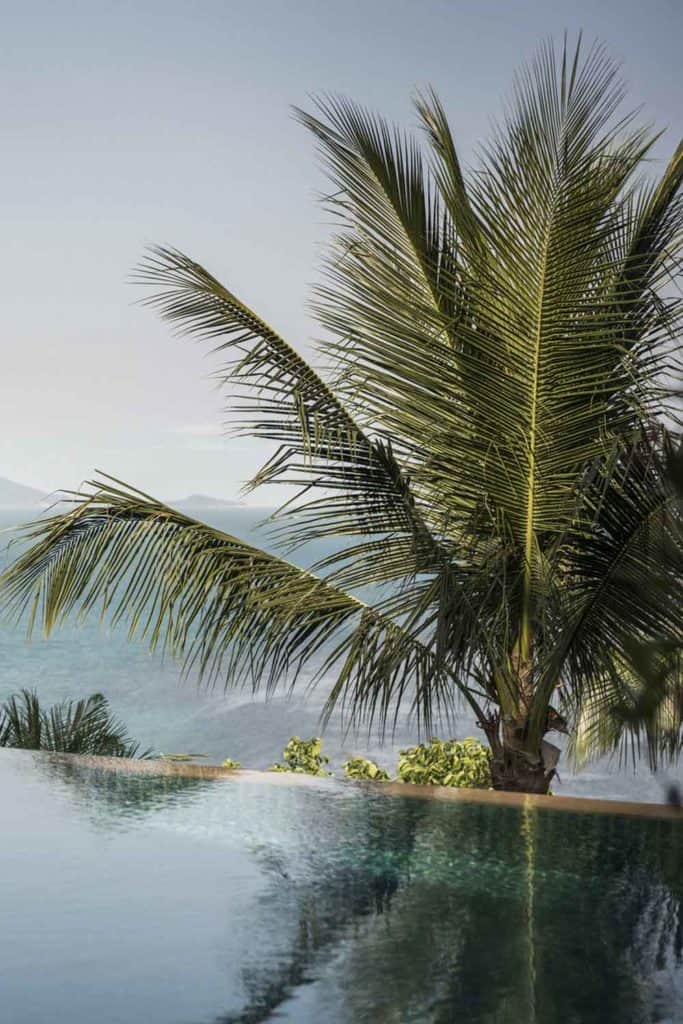 Four Seasons Thailand Four Seasons Koh Samui Residence View