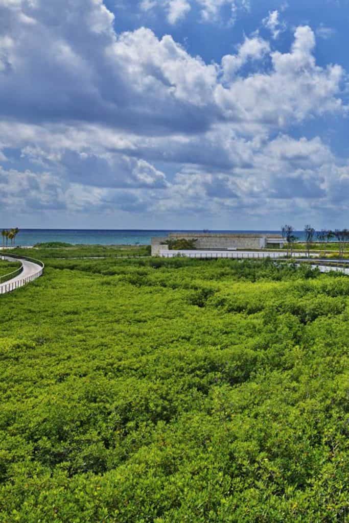 St Regis Mexico Kanai Mangrove