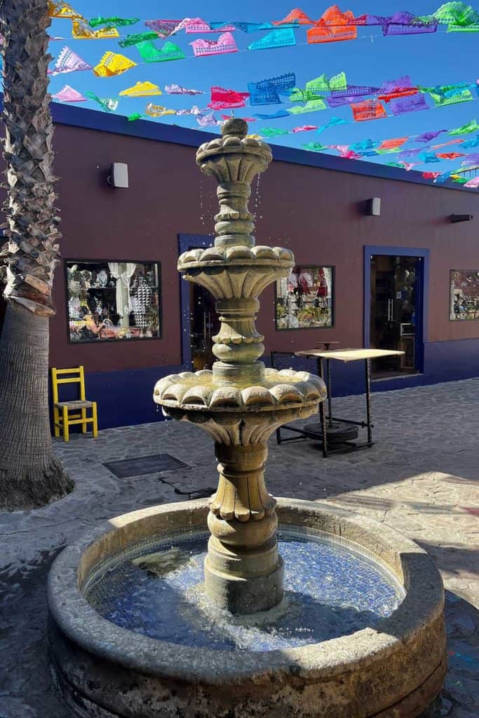 Todos Santos Boutique Hotel Todos Santos Fountain